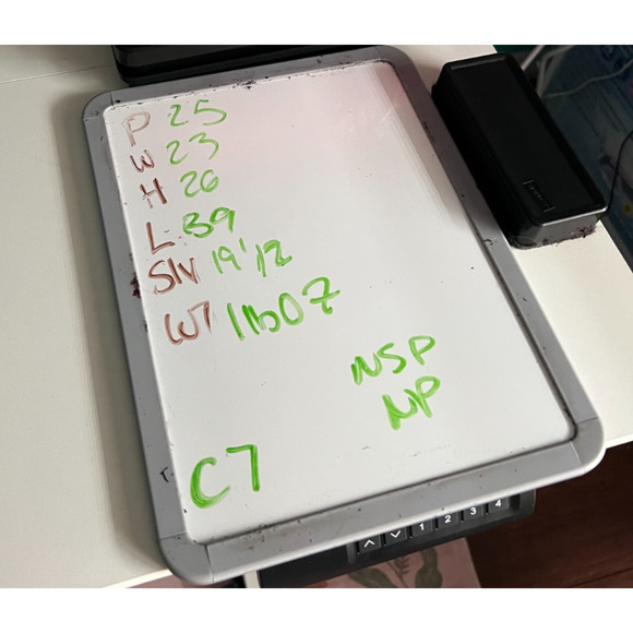 Verxy 3X Womens Pink Short Sleeve Blouse Shirt Dress Tie Front Knee Length - Picture 8 of 8